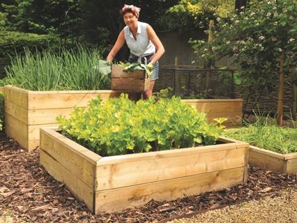 Raised Beds Content page
